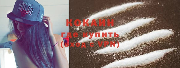 шишки Белоозёрский