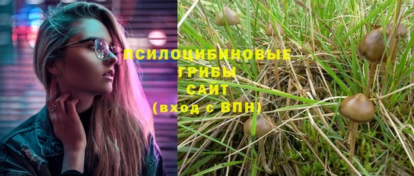 твердый Белокуриха
