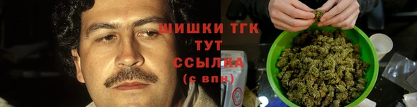 шишки Белоозёрский