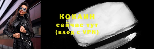 шишки Белоозёрский