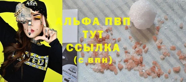 шишки Белоозёрский