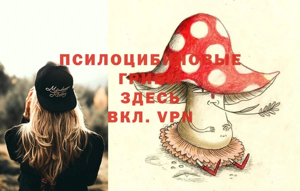 шишки Семикаракорск