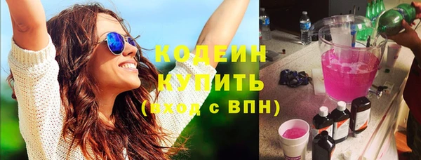 шишки Белоозёрский