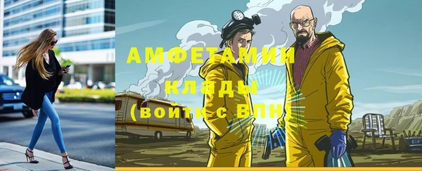шишки Белоозёрский