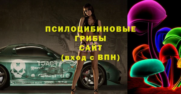 шишки Белоозёрский